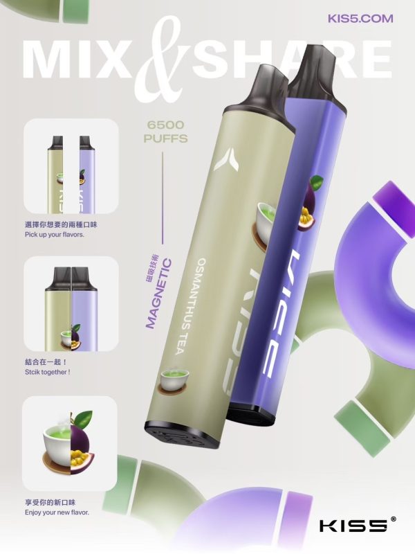 凱斯KISS 6500口 拋棄式電子煙 口味隨心混搭 可充電：圖片 2